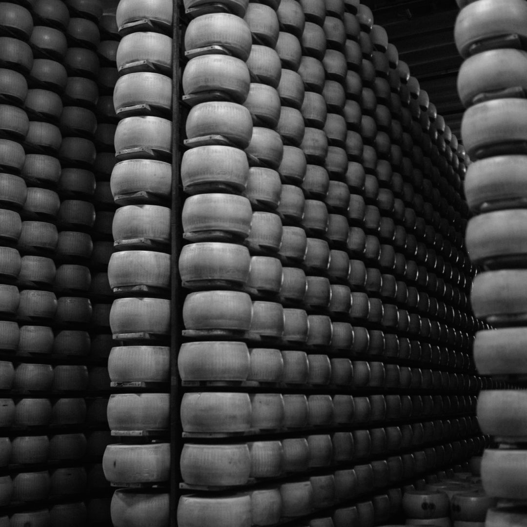 Le intelligenze della tradizione. Alla scoperta della filiera del Parmigiano Reggiano